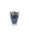 Paco Rabanne Invictus Platinum 100 мл (EURO) Ликвидация