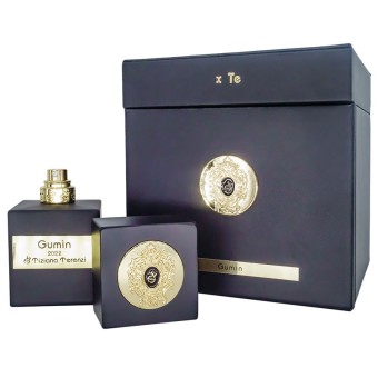 Tiziana Terenzi Gumin 100 мл