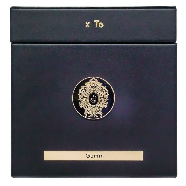 Tiziana Terenzi Gumin 100 мл